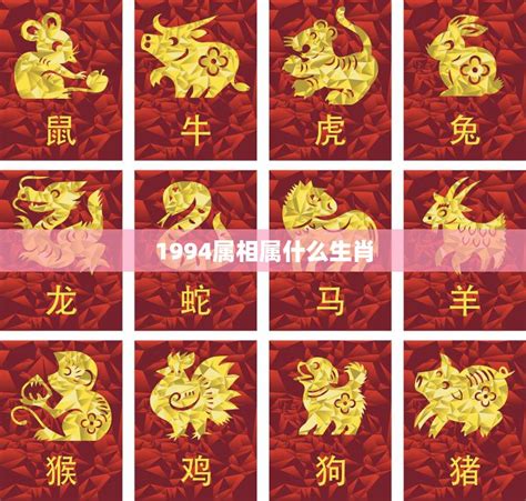 1961 年生肖|1961年属什么生肖？探寻1961年生肖的奥秘